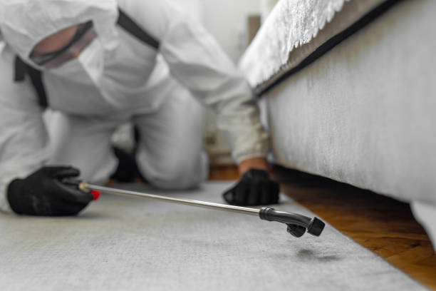 Professional Termite Control technician working in Swedeland, PA